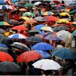 Как выбрать модный женский зонт от дождя