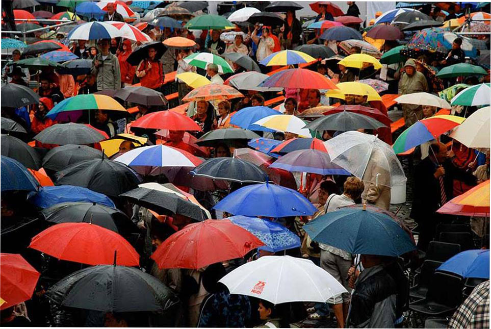 Как выбрать модный женский зонт от дождя